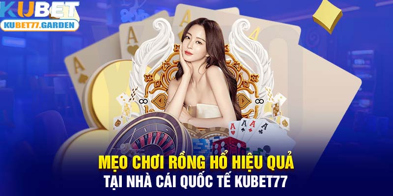 Mẹo chơi Rồng Hổ hiệu quả tại nhà cái quốc tế Kubet77