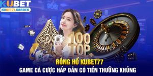 Rồng Hổ Kubet77