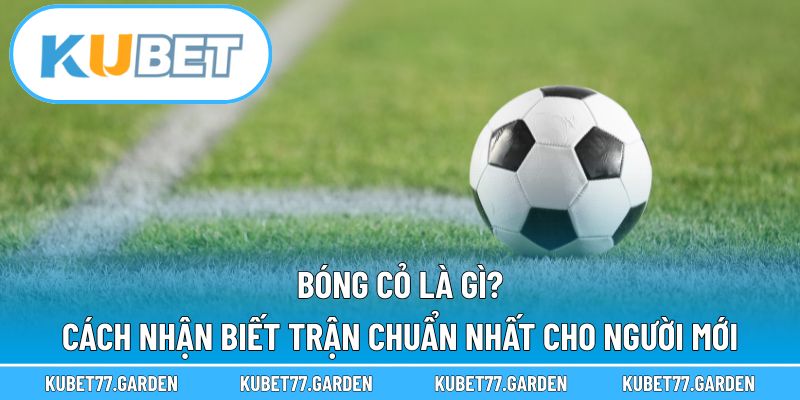 Bóng Cỏ Là Gì
