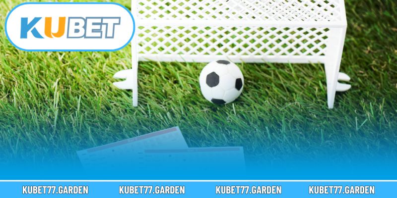 Hội viên cần nắm rõ cách nhận dạng bóng cỏ