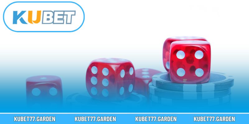 Quan sát và đặt cược đúng thời điểm tăng cơ hội thắng mỗi ván