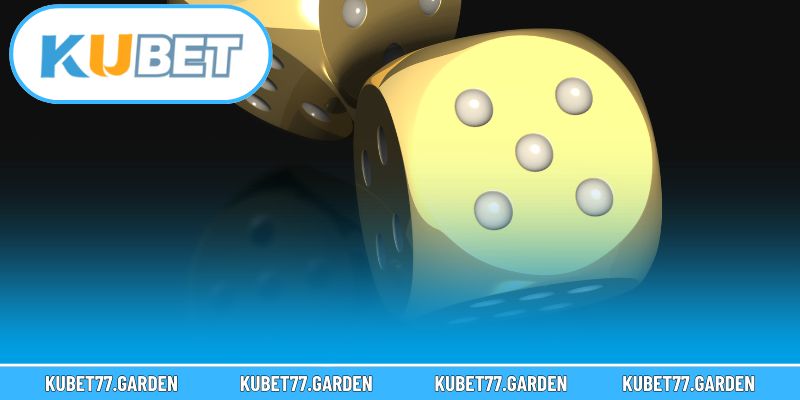 Theo dõi kết quả trước để nhận diện xu hướng và điều chỉnh chiến thuật